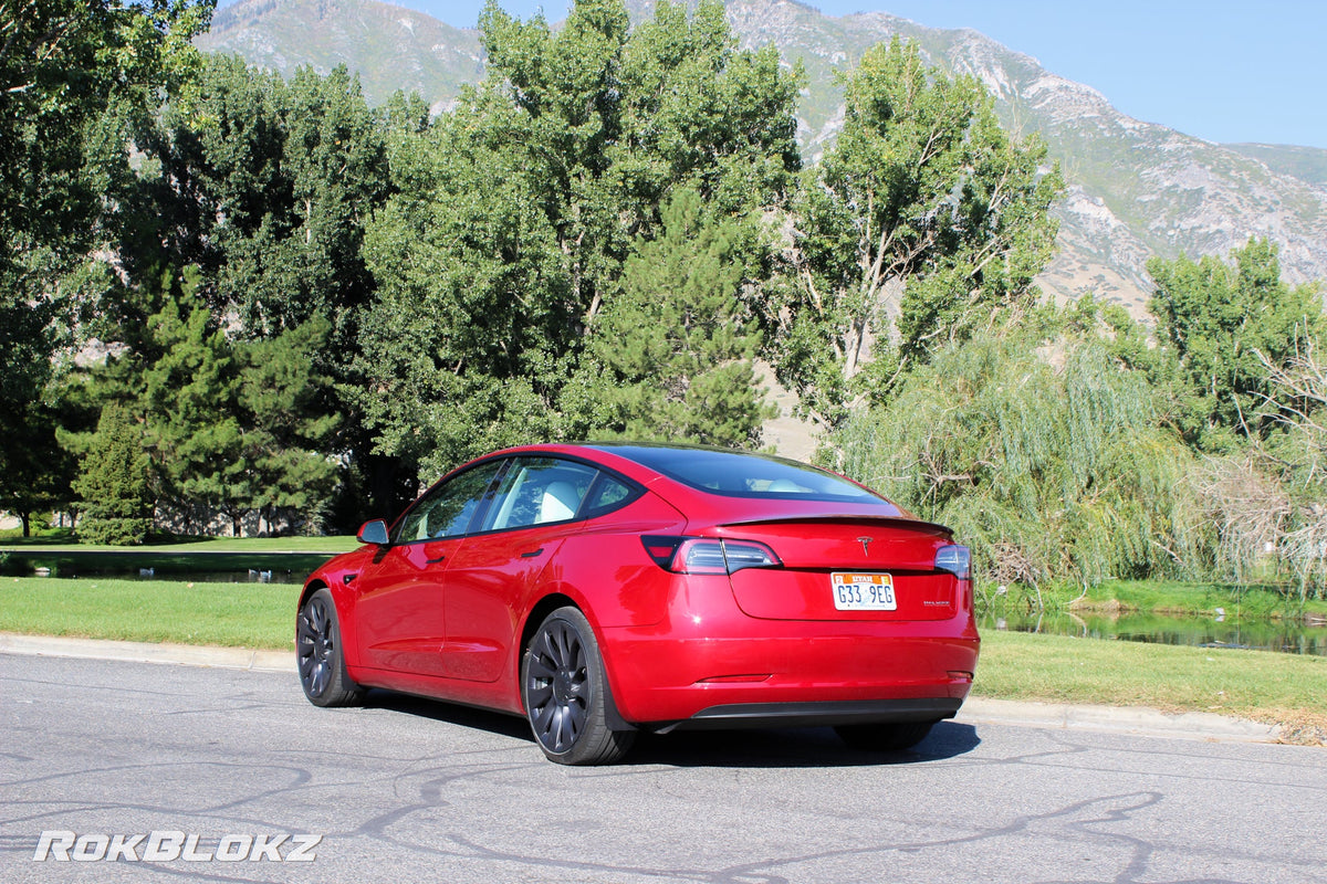 17+ Tesla Model 3 featuring Rokblokz Splash Guards