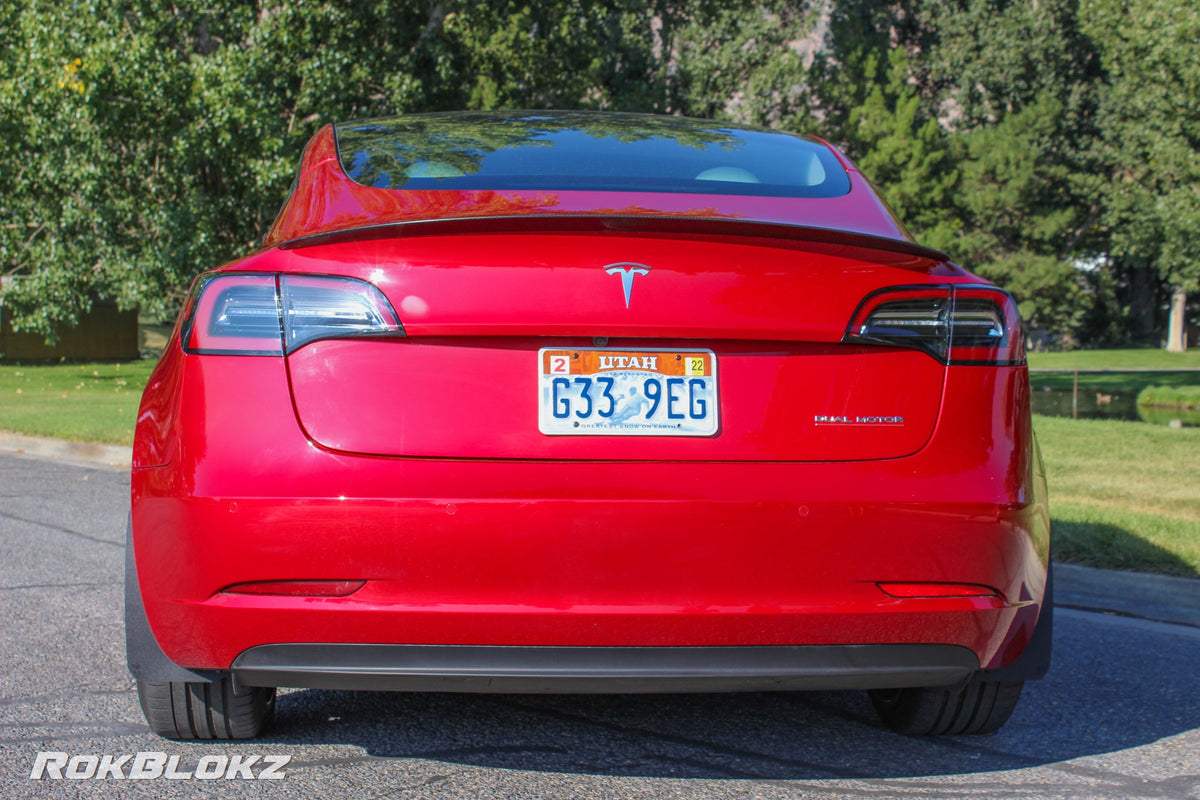 17+ Tesla Model 3 featuring Rokblokz Splash Guards