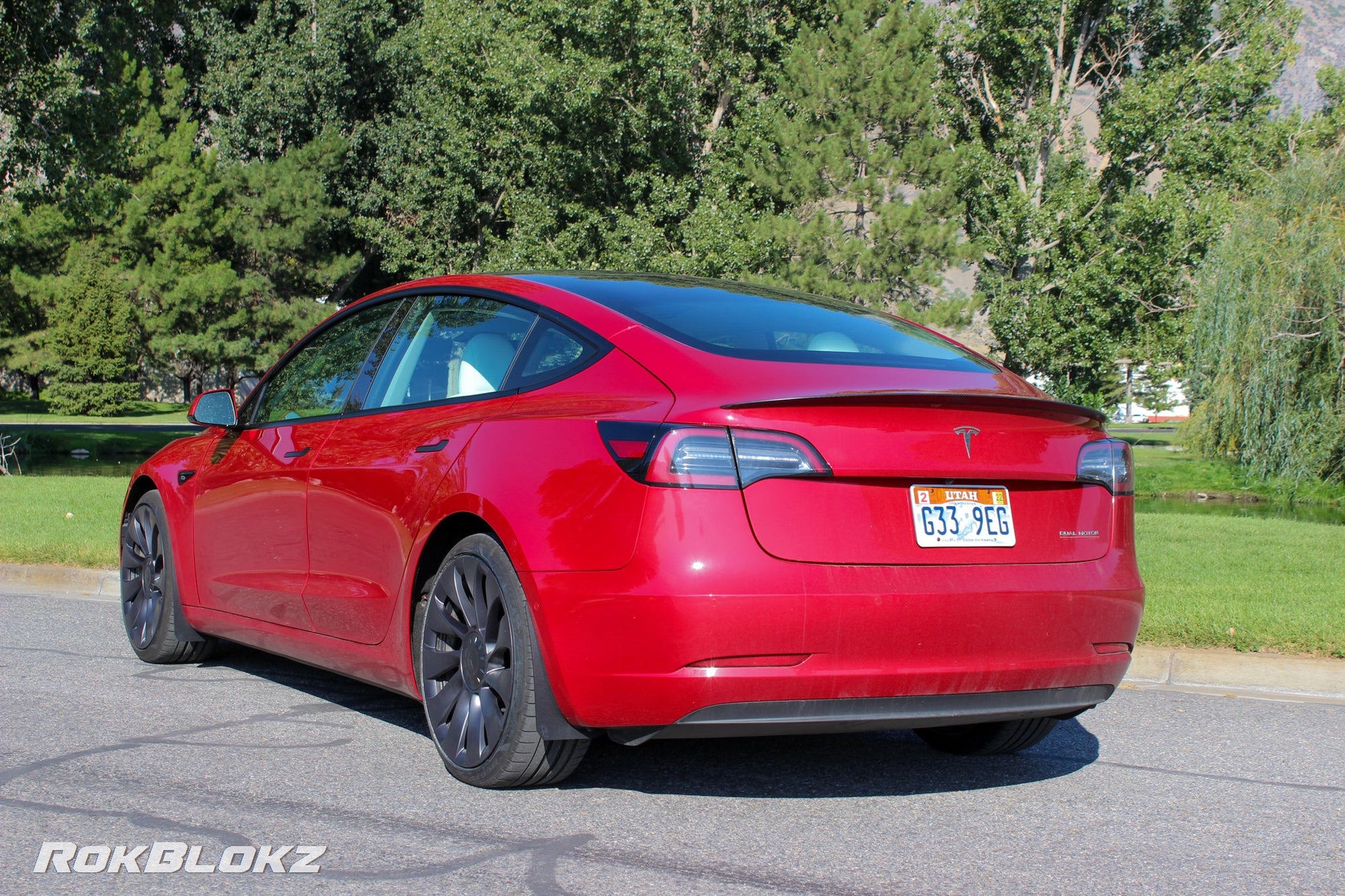 17+ Tesla Model 3 featuring Rokblokz Splash Guards