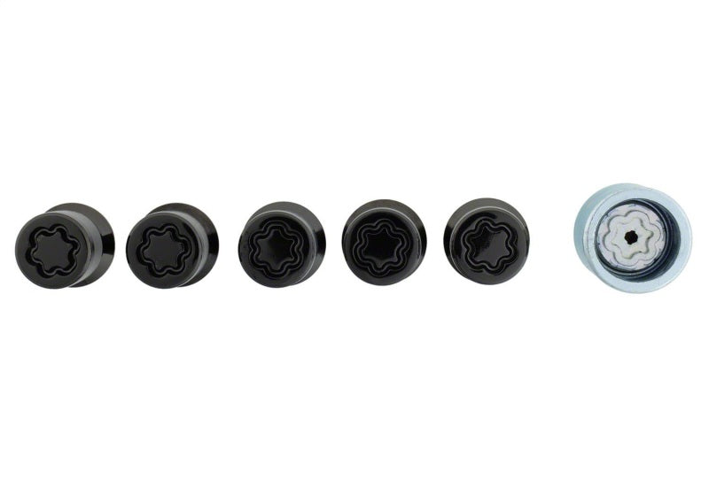 Ford Racing M12X1.5 Black Security Lug Nut - Set of 5 - M-1A043-B5