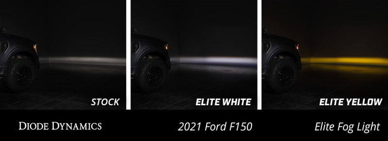 Diode Dynamics 21-23 Ford F-150 Elite Fog Lamps - White - DD5169