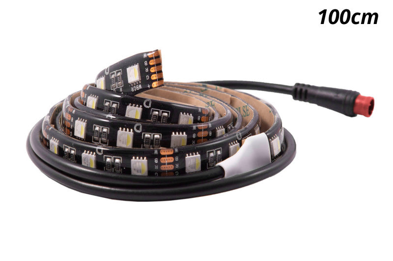 Diode Dynamics RGBW 500cm Strip SMD120 M8 Multicolor - DD2291