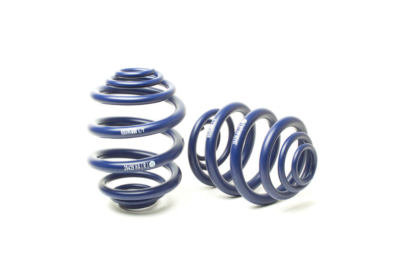 H&amp;R 94-03 Volkswagen Eurovan T4 Sport Spring - 29429