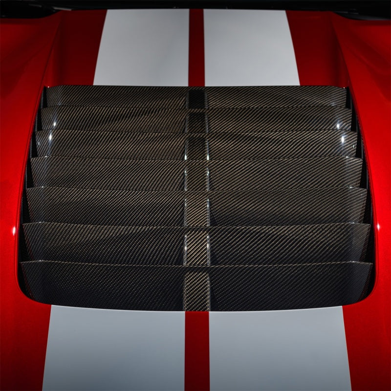 Ford Racing 20-21 Mustang GT500 Carbon Fiber Hood Vent Kit - M-16612-C20