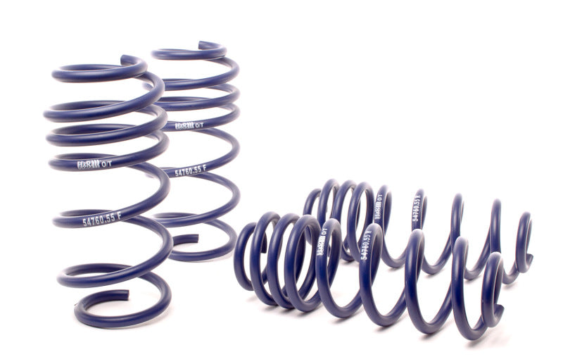 H&amp;R 12-15 Volkswagen Passat Sedan 2.5L/1.8T/TDI/V6 OE Sport Spring (Non 4Motion) - 54760-55