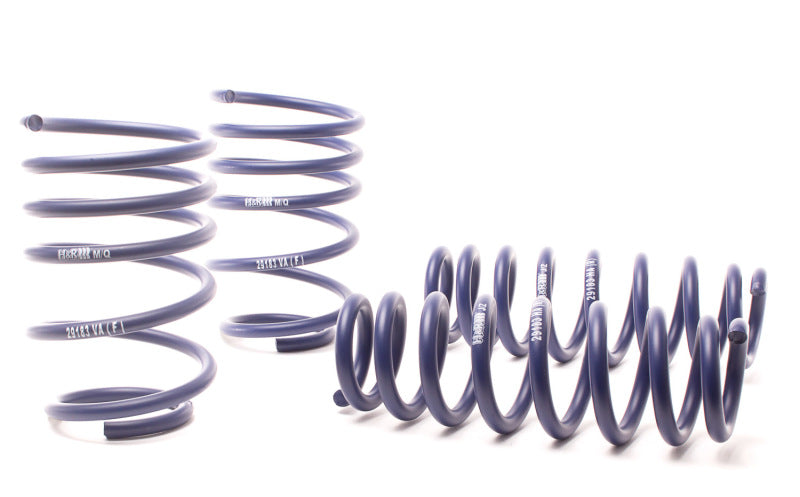 H&amp;R 07-11 BMW 328i Sedan/335i Sedan E90 Race Spring - 50490-88