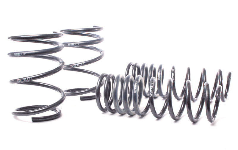 H&amp;R 04-06 BMW 525i/530i/545i E60 Race Spring (w/o Self Leveling) - 50460-88