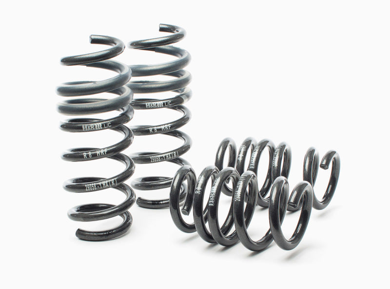 H&amp;R 08-15 Audi R8/R8 Cabrio V8/V10 Sport Spring - 29058-1