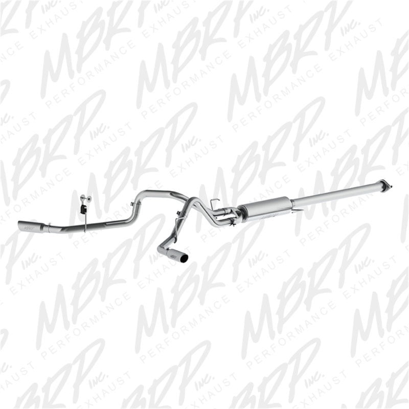 MBRP 2015 Ford F-150 2.7L / 3.5L EcoBoost 2.5in Cat Back Dual Side Split Alum Exhaust System - S5254AL